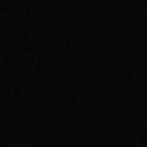 Meet your Posher, Nyla